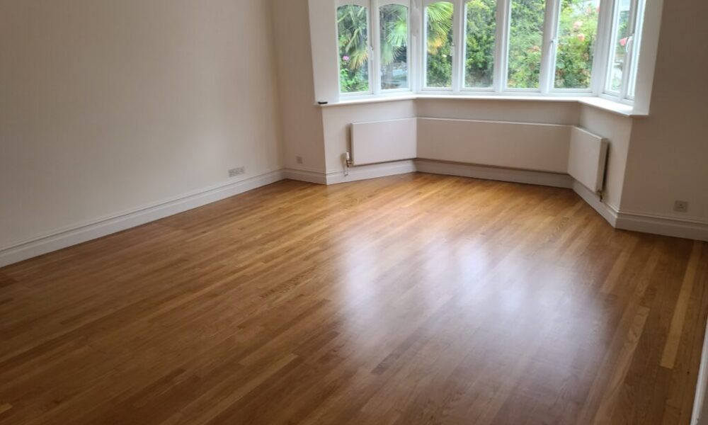 Sanding Experts15 Sanding Experts15